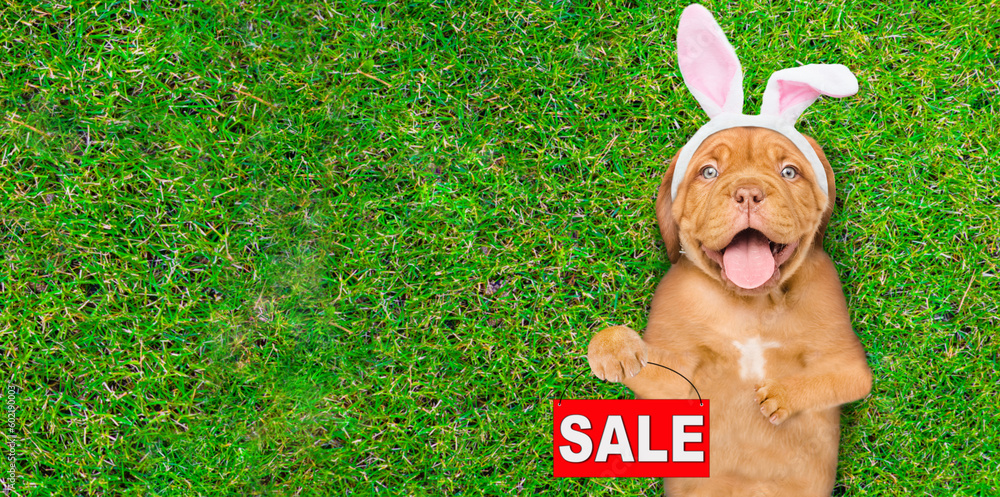 Poster happy mastiff puppy wearing easter rabbits ears shows signboard with labeled 