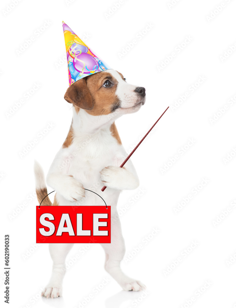 Poster jack russell terrier puppy wearing a party cap shows signboard with labeled 