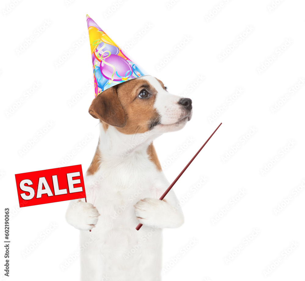 Poster jack russell terrier puppy wearing a party cap shows signboard with labeled 