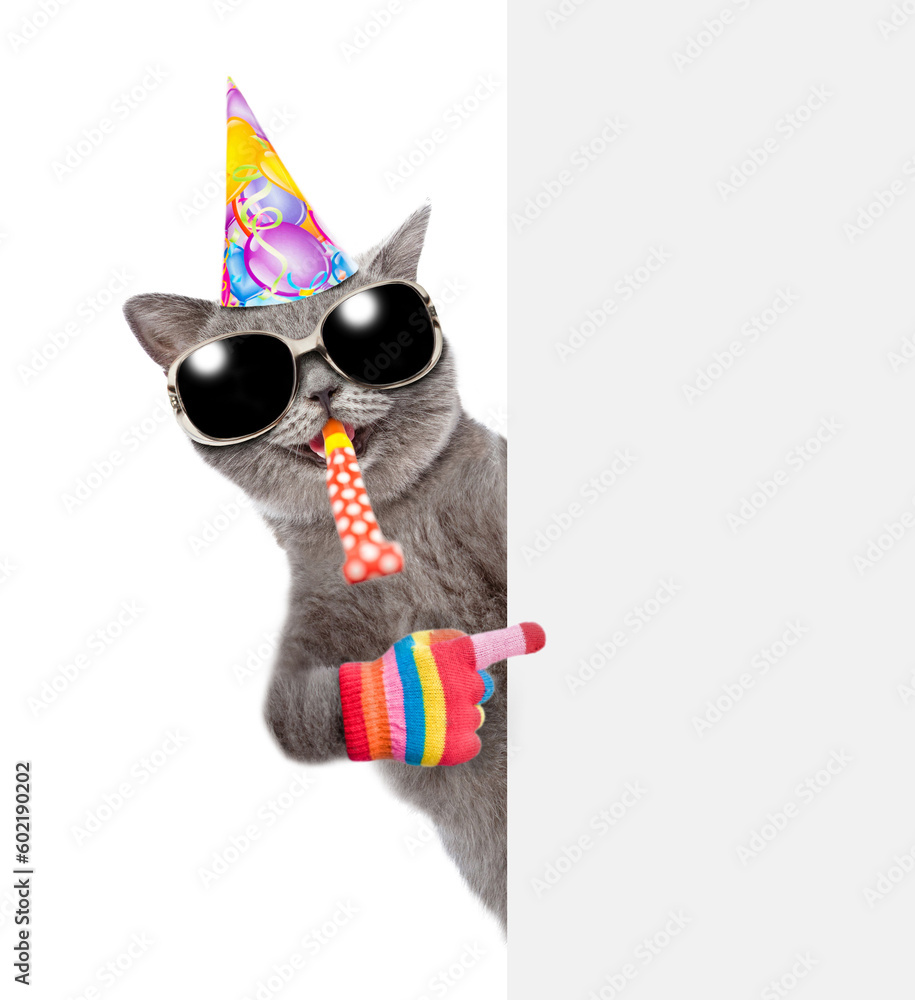 Poster happy cat wearing sunglasses and party cap blows in party horn and points on empty white banner. iso