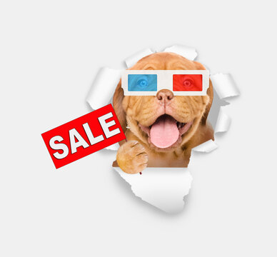 Happy puppy wearing 3d glasses looking through the hole in white paper and shows signboard with labeled "sale"