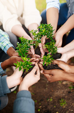 Teamwork, hands and group with plants for sustainability, eco friendly or ecology. Collaboration, people and leaves in nature, growth in soil or cooperation for earth day, community together and care