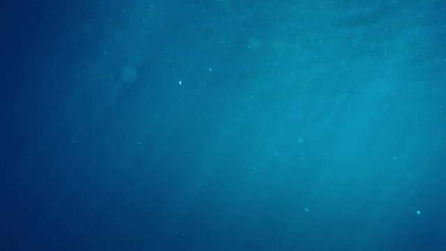 海中
