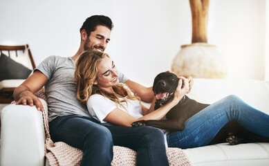 Smile, relax or happy couple with a dog on house sofa bonding or hugging with trust or loyalty together. Pet, animal lovers or woman enjoys playing with cute pitbull puppy with care on couch at home