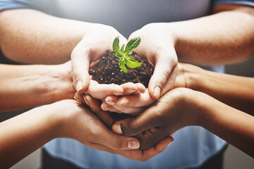 Plant, hands and group of people volunteering, agriculture and agriculture growth or collaboration,...