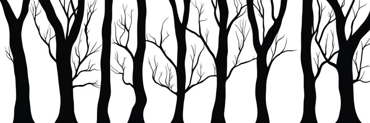 Silhouettes of trees, tree trunks and branches isolated on white background, natural background, banner