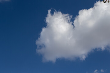 Monster in the sky flying from right to left