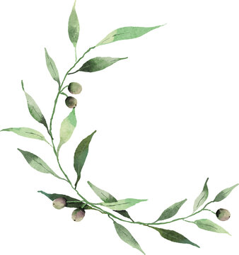 Olive leaves circle shape watercolor digital painting