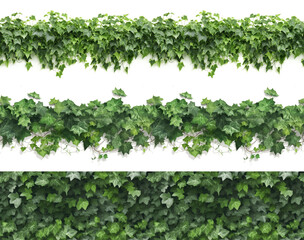 seamless tropical ivy leave foliage plant horizontal arrangement, nature backdrop isolated on white , Generative AI.