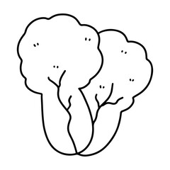 vegetables