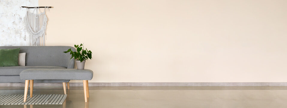 Grey sofa and bench with houseplant near light wall in room. Banner for design