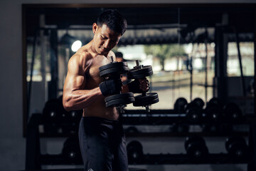 Fototapeta na wymiar Asian man shirtless workout weight training biceps muscles with dumbbell in fitness gym. Weight training exercise in concept of health and wellness.