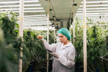 Researcher using technology device sensor, Check lighting and spectrum from LED with monitoring on...