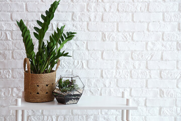 Florarium with houseplant on shelf near white brick wall