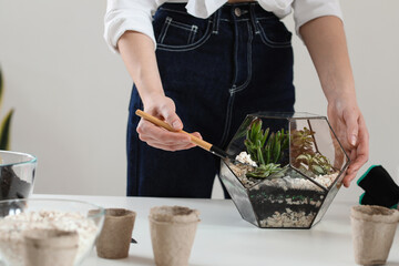 Woman making florarium at table, closeup