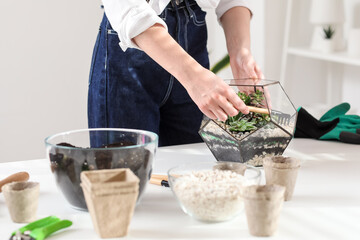 Woman making florarium at table, closeup