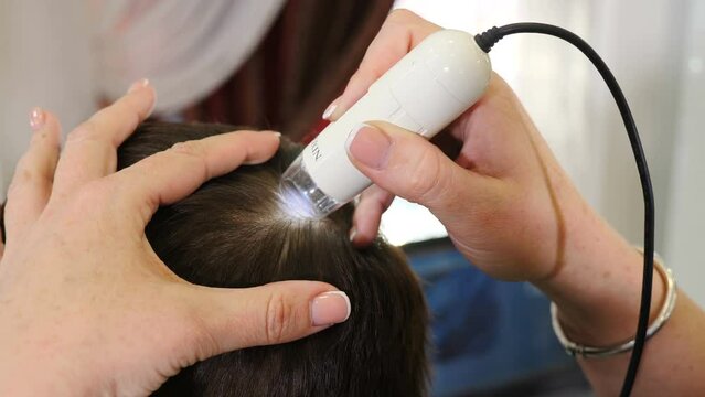 Working with trichoscope. hairdresser examining client hair with special device for hair diagnostic. Doctor trichologist treats patient, clinic for hair growth. Treating damaged hairdo. 4 k video