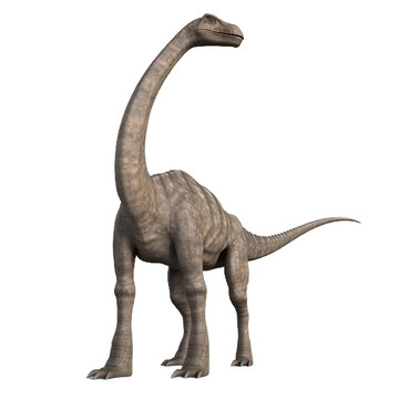 Dinosaur - Brachiosaurus on transparent background, Generative ai