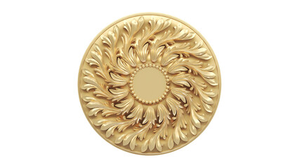 coin isolated on white