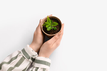Woman holding peat pot with green seedling on white background