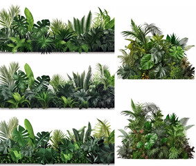 Group of tropical ivy leave ornamental bush and horizontal arrangement isolated on white, Generative AI.