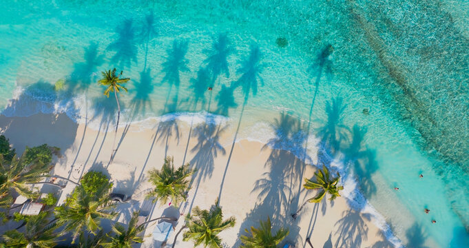 Summer palm tree  and Tropical beach with blue  sky background