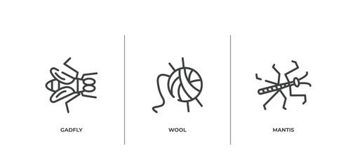 insects outline icons set. thin line icons sheet included gadfly, wool, mantis vector.