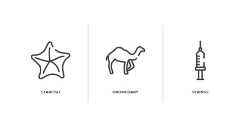 zoo outline icons set. thin line icons sheet included starfish, dromedary, syringe vector.