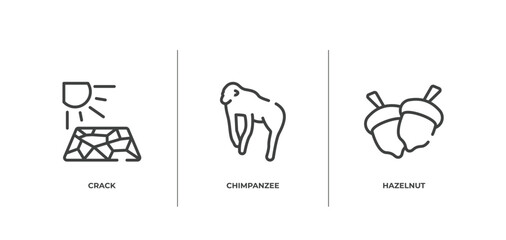 wildlife outline icons set. thin line icons sheet included crack, chimpanzee, hazelnut vector.