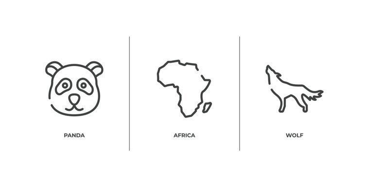 wildlife outline icons set. thin line icons sheet included panda, africa, wolf vector.