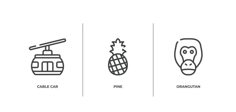 zoo outline icons set. thin line icons sheet included cable car, pine, orangutan vector.