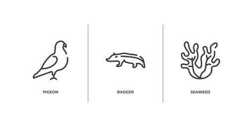nature outline icons set. thin line icons sheet included pigeon, badger, seaweed vector.