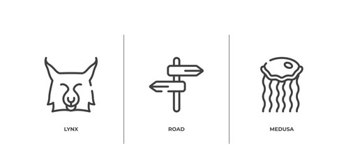 diving outline icons set. thin line icons sheet included lynx, road, medusa vector.