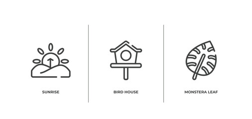 tropical outline icons set. thin line icons sheet included sunrise, bird house, monstera leaf vector.