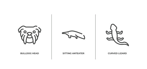 free animals outline icons set. thin line icons sheet included bulldog head, sitting anteater, curved lizard vector.