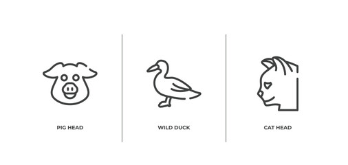 fauna outline icons set. thin line icons sheet included pig head, wild duck, cat head vector.