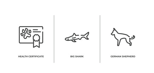 dog and training outline icons set. thin line icons sheet included health certificate, big shark, german shepherd vector.