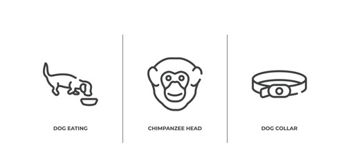 dog and training outline icons set. thin line icons sheet included dog eating, chimpanzee head, dog collar vector.