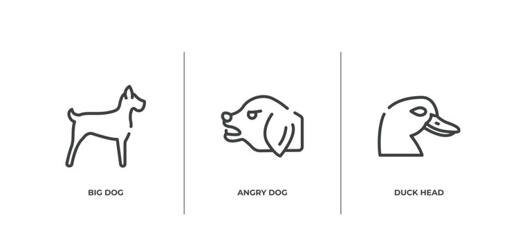 free animals outline icons set. thin line icons sheet included big dog, angry dog, duck head vector.