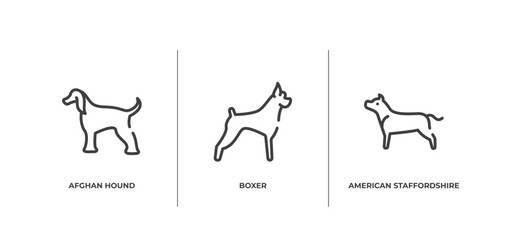 dog breeds fullbody outline icons set. thin line icons sheet included afghan hound, boxer, american staffordshire terrier vector.