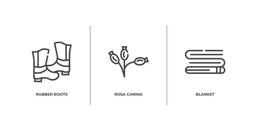 autumn outline icons set. thin line icons sheet included rubber roots, rosa canina, blanket vector.