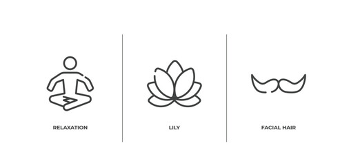 beauty outline icons set. thin line icons sheet included relaxation, lily, facial hair vector.