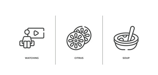 therapy outline icons set. thin line icons sheet included watching, citrus, soup vector.