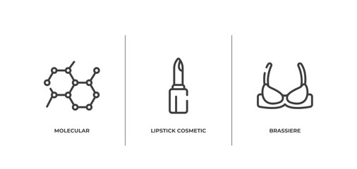 beauty and fashion outline icons set. thin line icons sheet included molecular, lipstick cosmetic, brassiere vector.