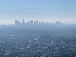 Los Angeles buildings. Photo taken from Griffith Park. 