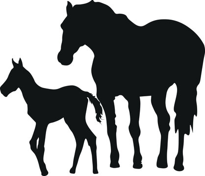 The black silhouette of a mare with a child