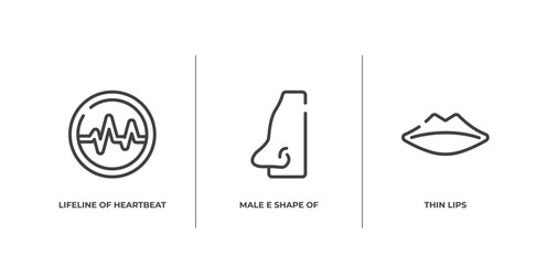 Fototapeta premium body parts outline icons set. thin line icons sheet included lifeline of heartbeat in a circle, male e shape of a line, thin lips vector.