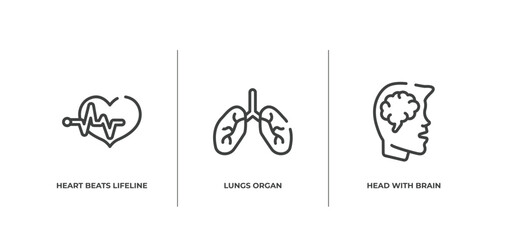 Obraz premium in the hospital outline icons set. thin line icons sheet included heart beats lifeline in a heart, lungs organ, head with brain vector.