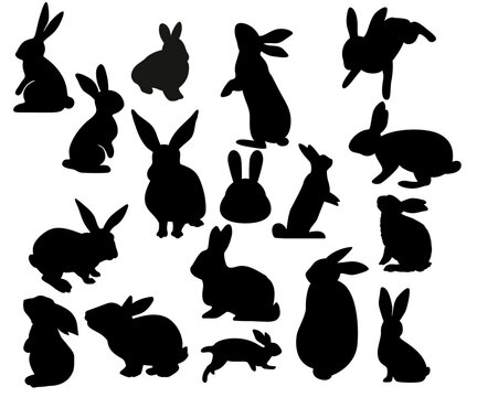 Set of different black bunny silhouettes, isolated on colorful background for design use. Rabbit silhouette