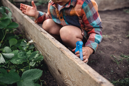 Child toddler heling in greenhouse, kid spraying plants in garden